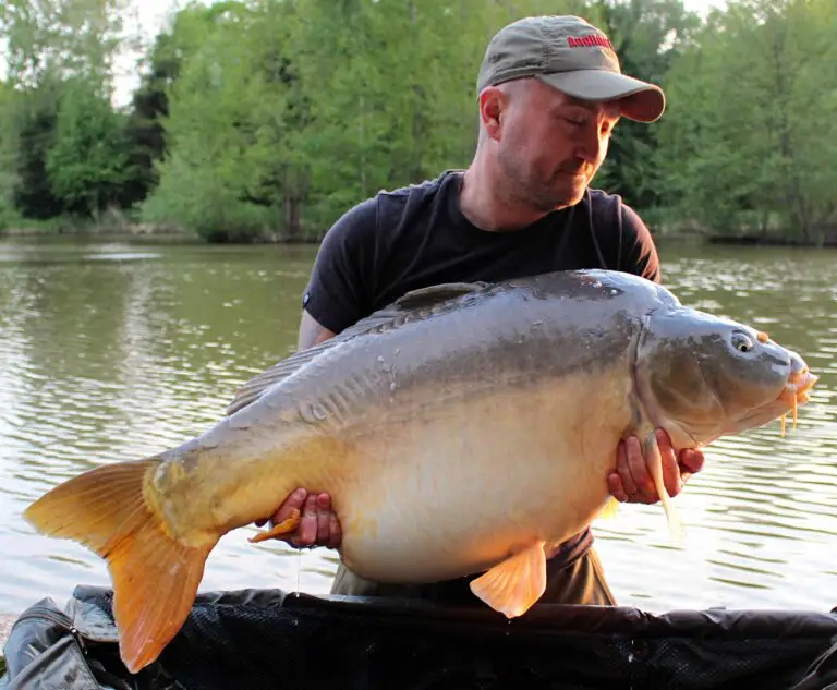 LEIGHTON - Chapel Lake